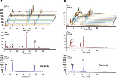 Unveiling the therapeutic potential of Lobaria extract and its depsides/depsidones in combatting Aβ42 peptides aggregation and neurotoxicity in Alzheimer’s disease